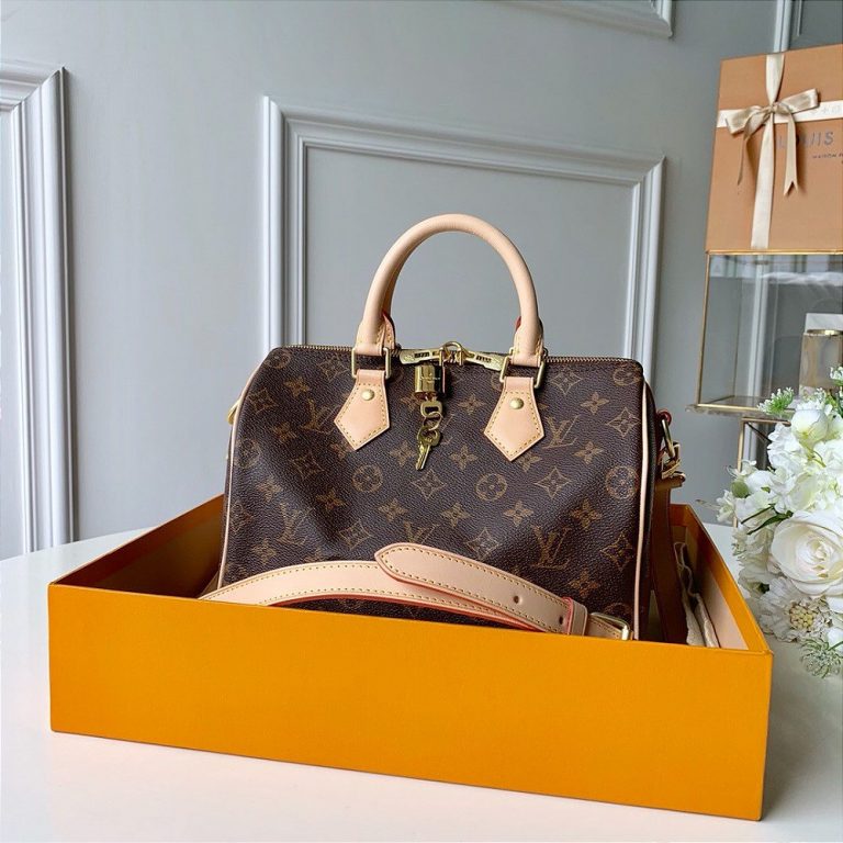 Bolsa Louis Vuitton Speedy 25 “Canvas Monogram”