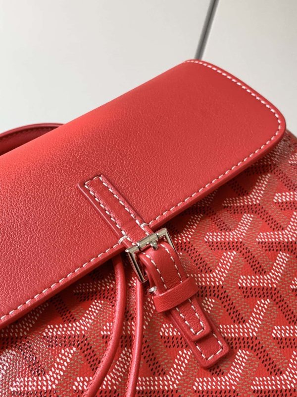 Bolsa  Goyard Alpin PM Backpack - Red - Image 5